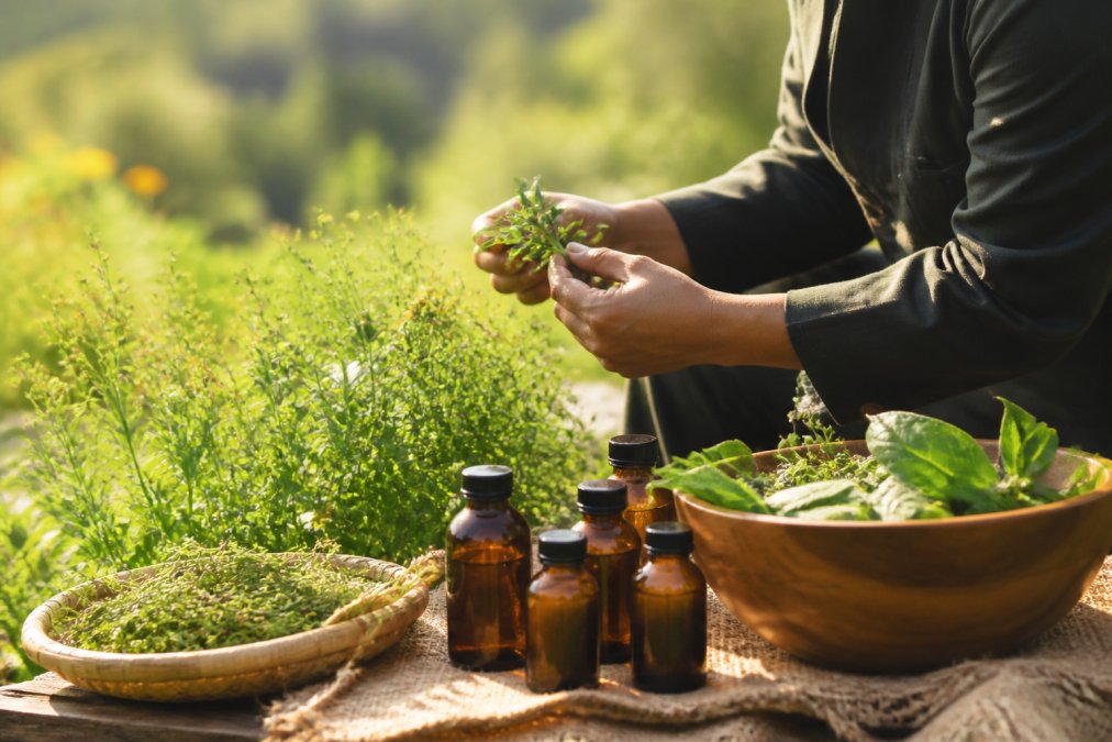 Ethical Sourcing in Natural Beauty Products: 2026 Guide